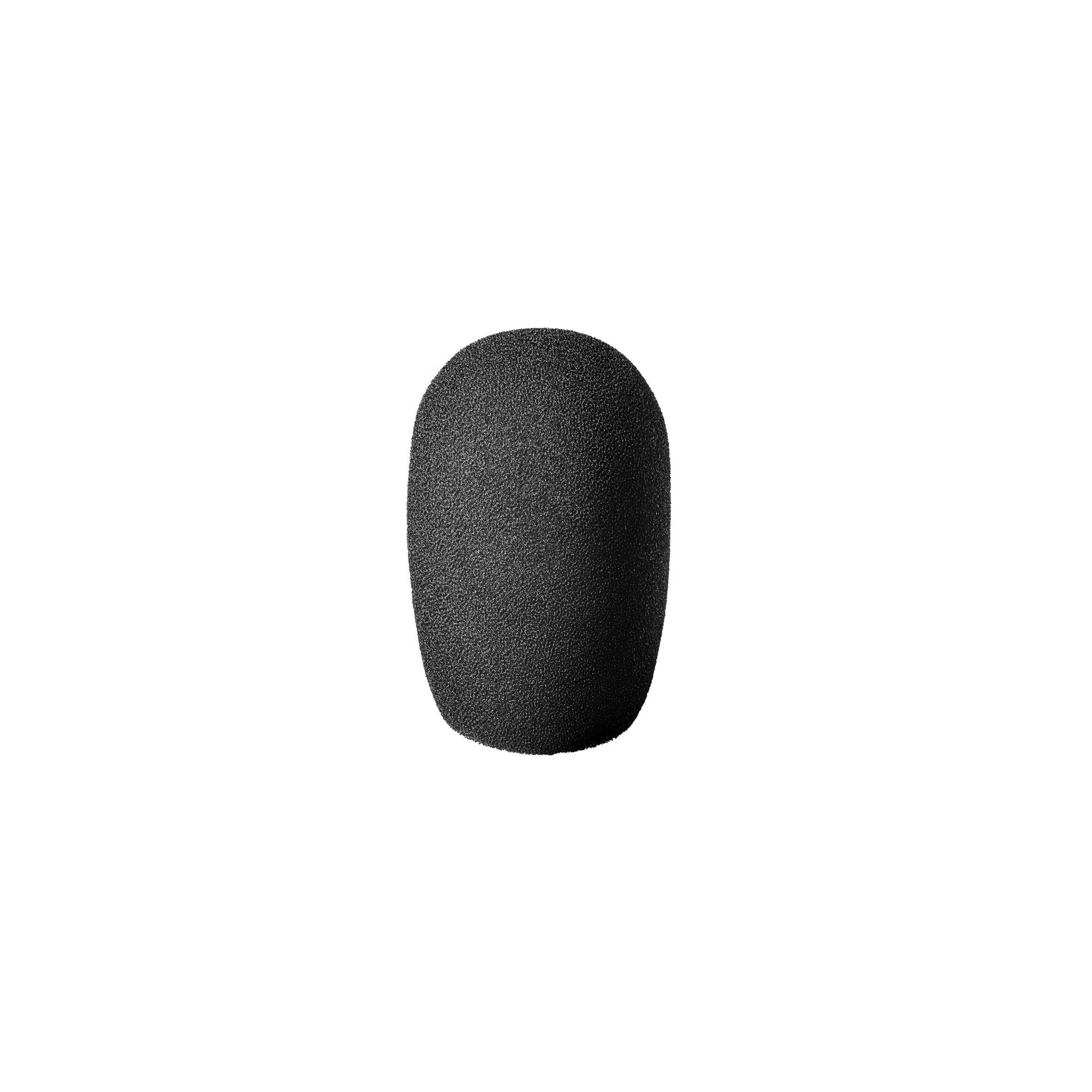 Audio-Technica AT2031