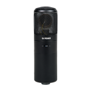 Golden Age Audio Premier GA-8000