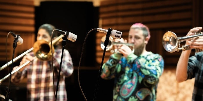 Universal Audio SD-3 Dynamic Microphone with Hemisphere Modeling