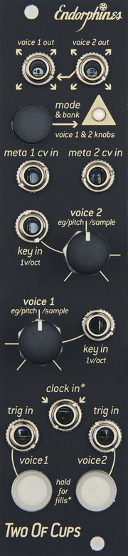 Endorphin.es Two of Cups