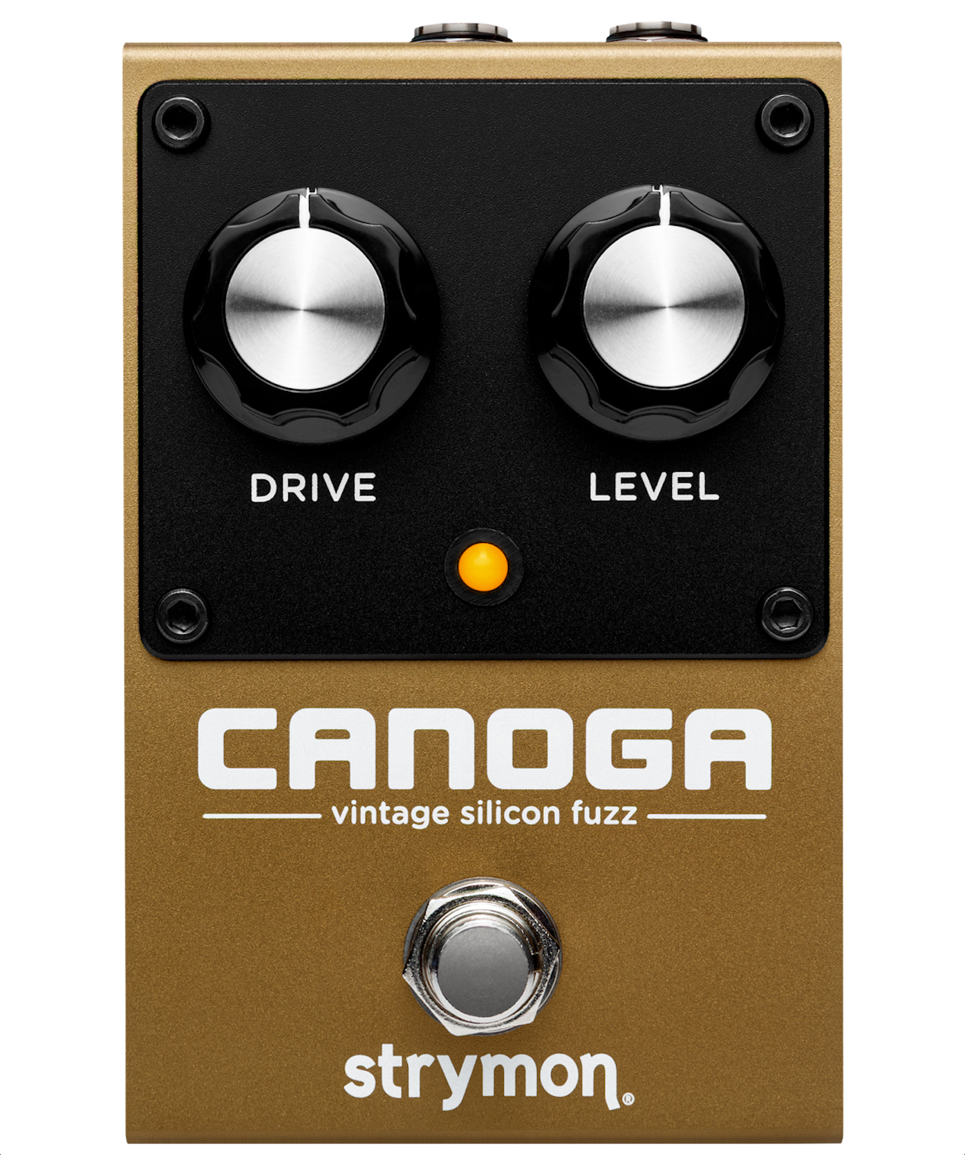 Strymon Canoga