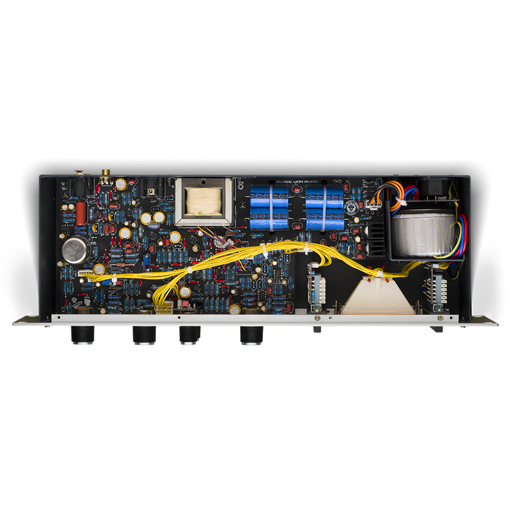 Black Lion Audio BLUEY