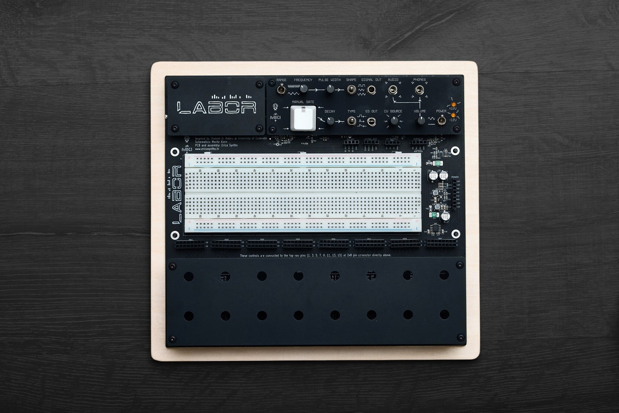 Erica Synths EDU DIY Labor