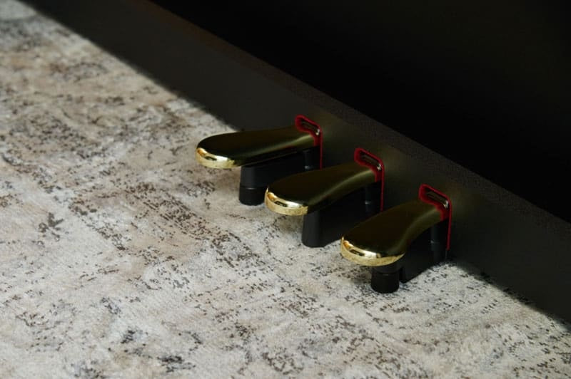 Casio AP-300 Celviano Series Digital Piano (Black)