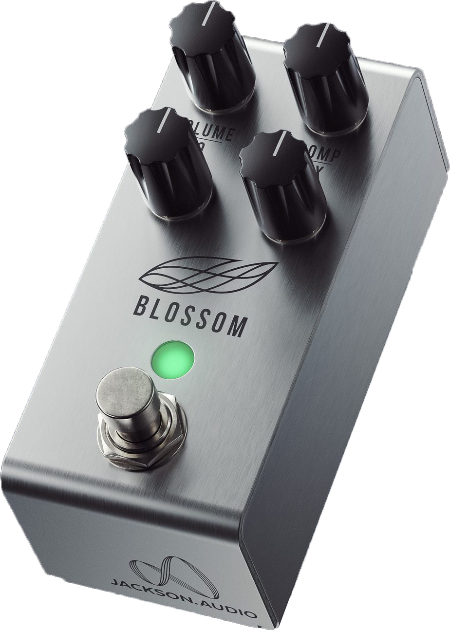 Jackson audio BLOSSOM