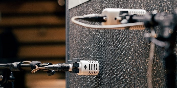 Universal Audio SD-3 Dynamic Microphone with Hemisphere Modeling