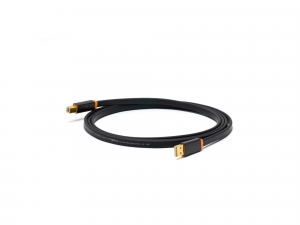 Oyaide Neo d+ USB class A rev.2 1.0 M